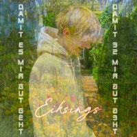 Damit Es Mir Gut Geht - Single - eiksings