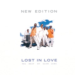 Lost in Love: The Best of Slow Jams (Reissue)