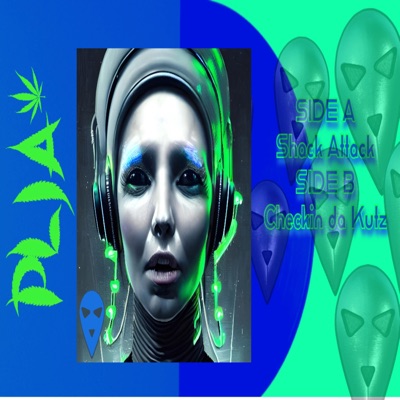 Shack Attack (feat. CRIMINAL RECORDS HARDBASS) - Single