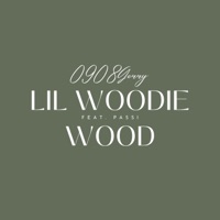 0908Gerry (feat. Passi) - Single - Lil Woodie Wood