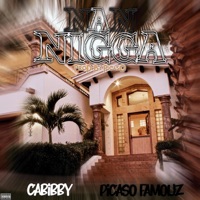 Nan N***a (feat. Picaso Famouz) - Single - Cabibby