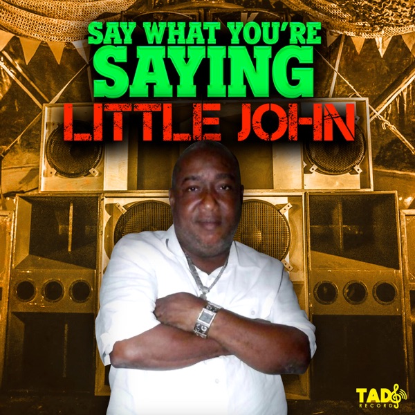 Say What You're Saying - Single