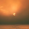 Meadow - Single