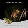 Moonlight Slumber - Sleep Crickets, Sounds Of The Night & Cricket Sounds