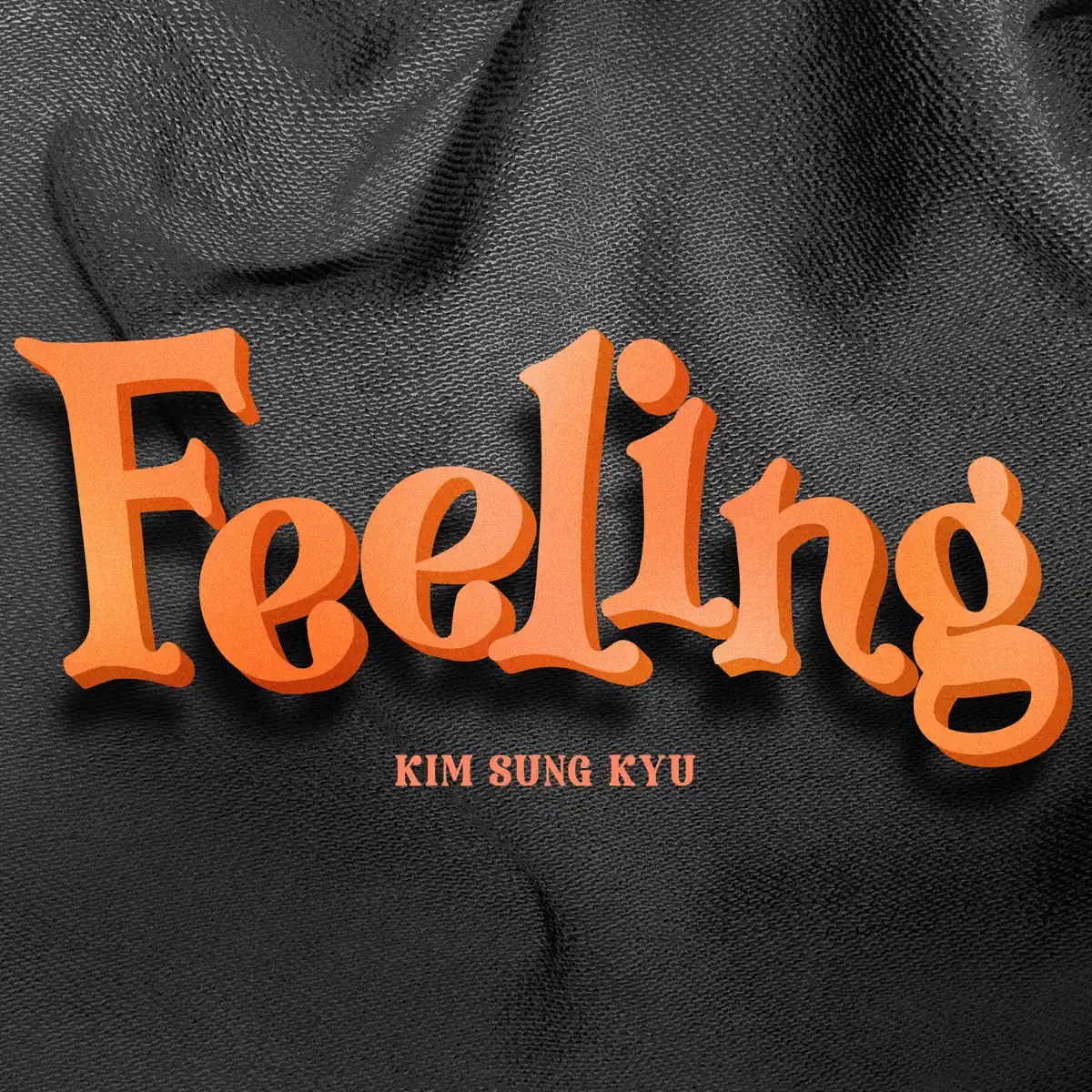 金聖圭 Kim Sung Kyu - Feeling - Single (2024) [iTunes Plus AAC M4A]-新房子