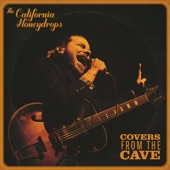 The California Honeydrops - Under the Boardwalk (Live)