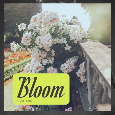 Bloom (Be Something) - Single