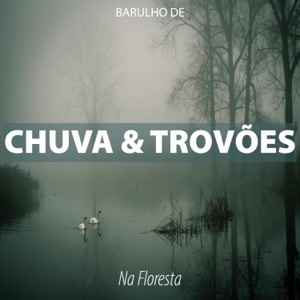 Barulho de Chuva e Trovões na Floresta