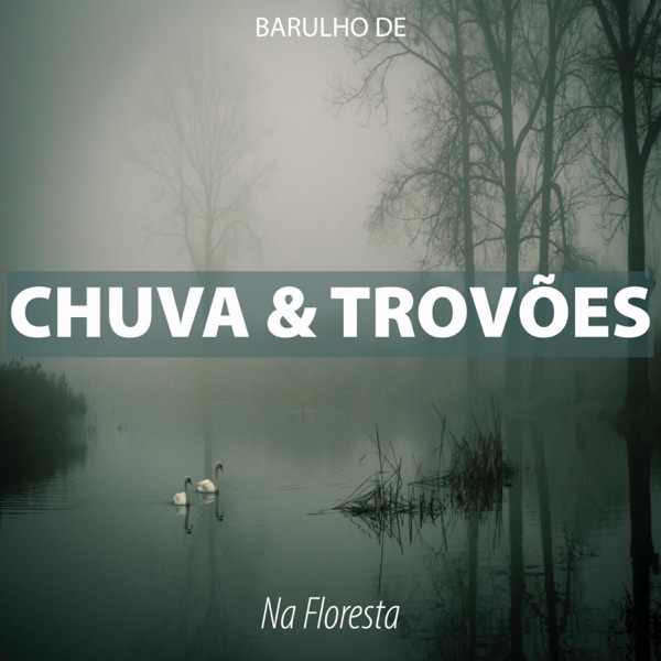 Barulho de Chuva e Trovões na Floresta