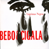 Lágrimas Negras - Bebo Valdés & Diego El Cigala
