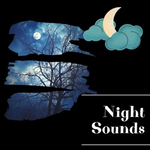Night Sounds