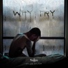 Why;Try (feat. Lee Wilson) - Single