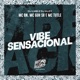 Vibe Sensacional feat DJ Kley MC TURTLE Single