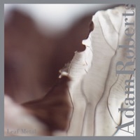 Leaf Metal - Nouvel Ensemble Moderne