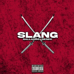 Slang