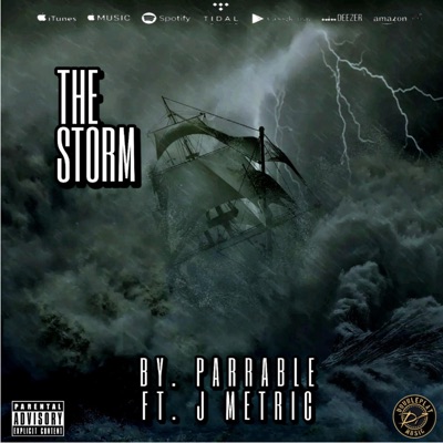 The Storm (feat. J Metric) - Single