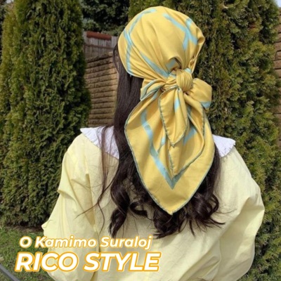 Rico Studio Pro - Rico Style (O Kamimo Suraloj)