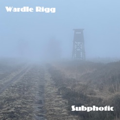 WARDLE RIGG cover art