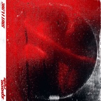 Shit I Like - Single - spaceryde