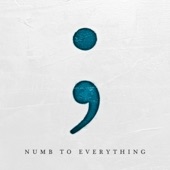 Numb to Everything artwork