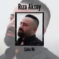 Şaka mı