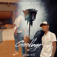 Goodbye - Single - Dumi 105