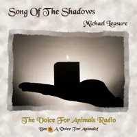 Song of the Shadows — Michael Leasure