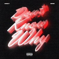 Don't Know Why (feat. Chrome) - Single