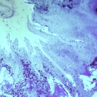 nothing is like it seems - Single - keseki