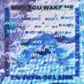 WHY YOU WAKE ME