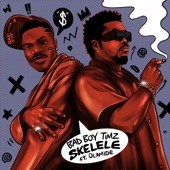 Skelele (feat. Olamide) artwork