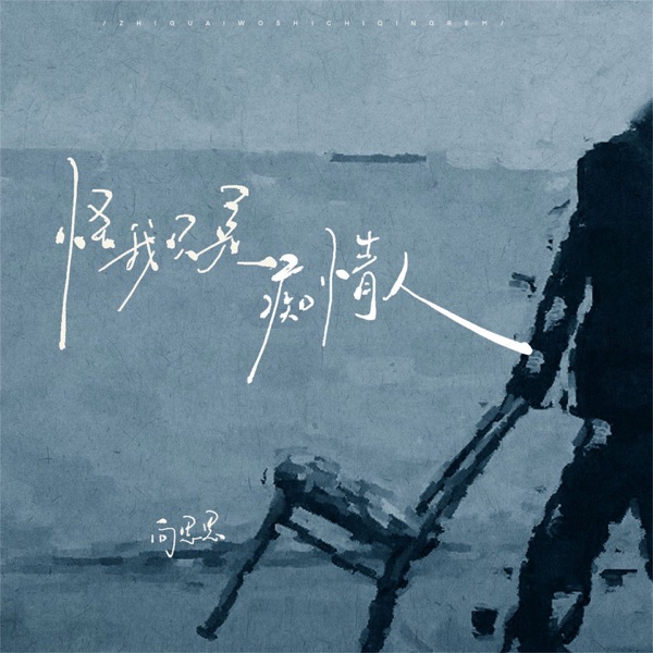怪我只是痴情人 - Single