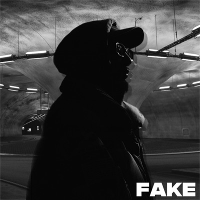 Fake - Single