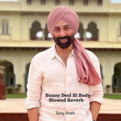 Tony Stark - Sunny Deol Si Body (Slowed Reverb)