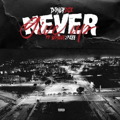 Never Give Up (feat. Wavvy2Flyy) - Single
