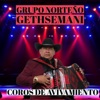 Coros de Avivamiento - Single
