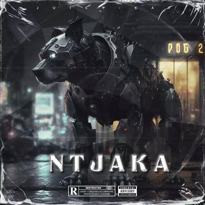 Ntjaka - Single
