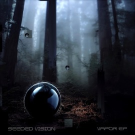 Syntact Seeded Vision