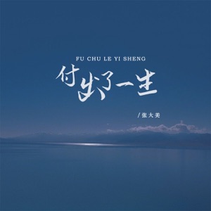 付出了一生 - Single