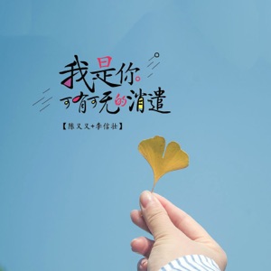 我是你可有可无的消遣 - Single