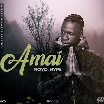 Royd Hype Amai - Single