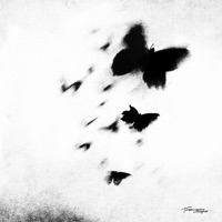 поменяет местами - Single - тринадцать карат