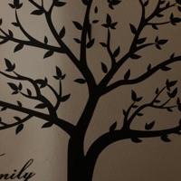 Visualize - Single - Jonah558