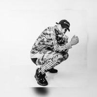 Respaldao - Single - Lion-e