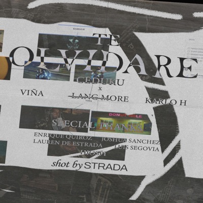 TE OLVIDARE (feat. Viña, KarloH & Lang More) - Single