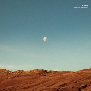 Moonlit Serenity - Single
