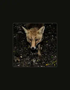 Escucha a James Terrell, mira vídeos musicales, lee la biografía, consulta fechas de giras y mucho más.