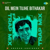 Dil Mein Tujhe Bithakar (Trap Mix) artwork