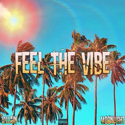 Feel the Vibe - Single
