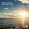 Sparrow (Reddfield Remix) - Mitiska lyrics